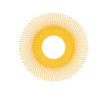 scotch-brite-radl-bristle-brush-repl-disc-t-a-80-refill-6-in