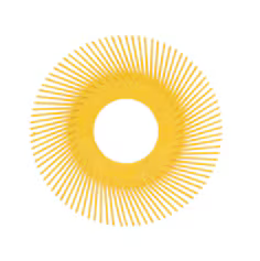 3M Segmentos de Escovas Radial Bristle de 150mm P80 Amarelo Tipo A (púas rectas orientadas)