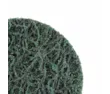 O Disco Scotch-Brite™ Roloc™ Clean and Strip XT Pro Extra Cut, XC-DR, 76.2 mm x NH, A XCRS