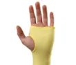 ingl6166-70-123-palm